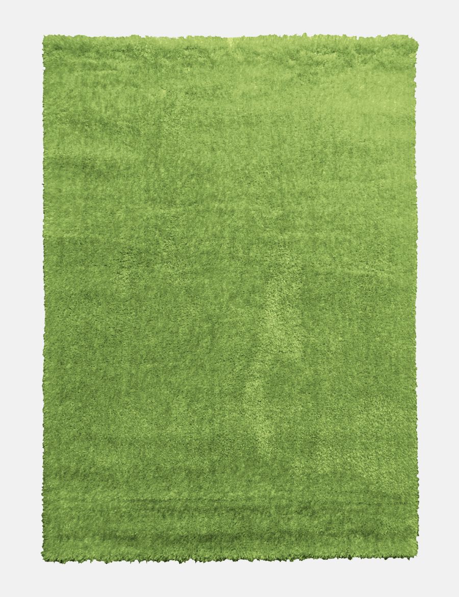 Plush Shaggy - Light Green from Denis McGinley Furniture