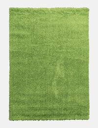 Plush Shaggy - Light Green from Denis McGinley Furniture