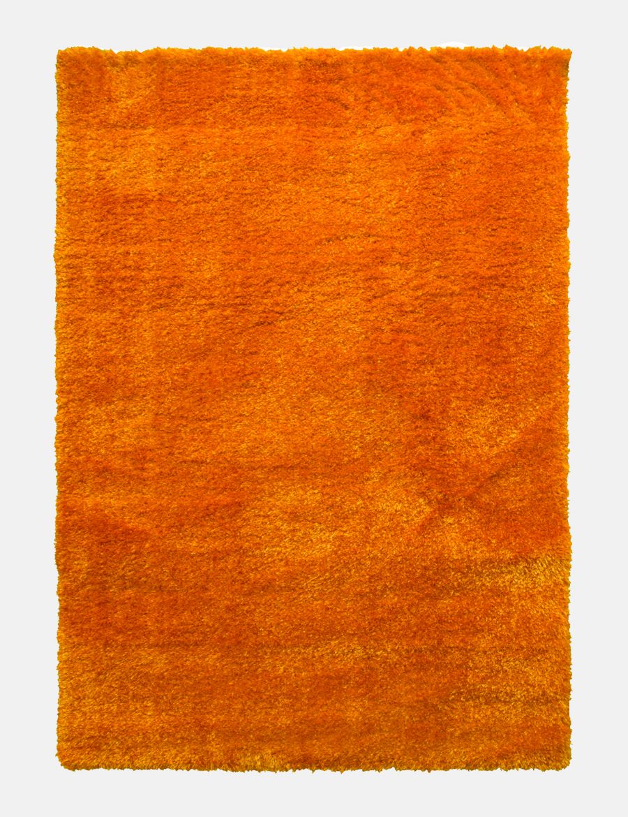 Plush Shaggy - Orange from Denis McGinley Furniture