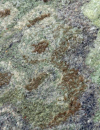 Verona Coralis